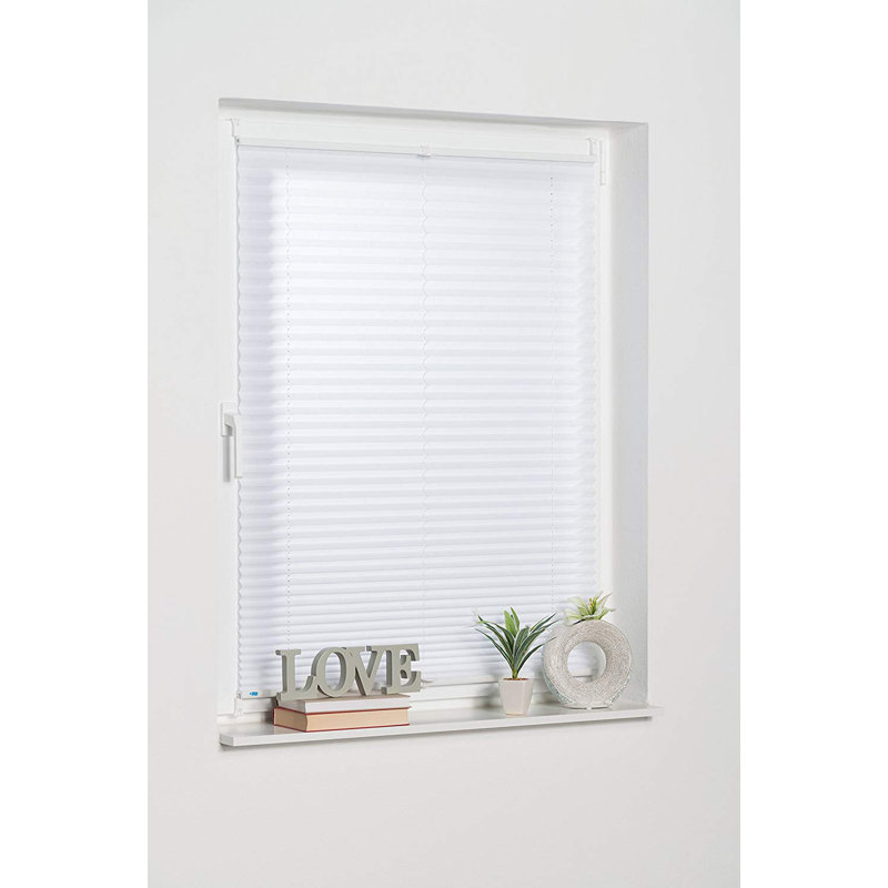 ModernMoments Plissee Halbtransparent & Bewertungen Wayfair.de